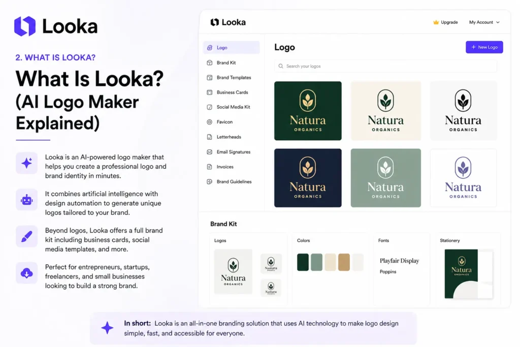 What Is Looka Background for This Looka Review