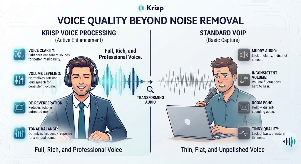 Krips Review Voice Quality Beyond Noise Removal